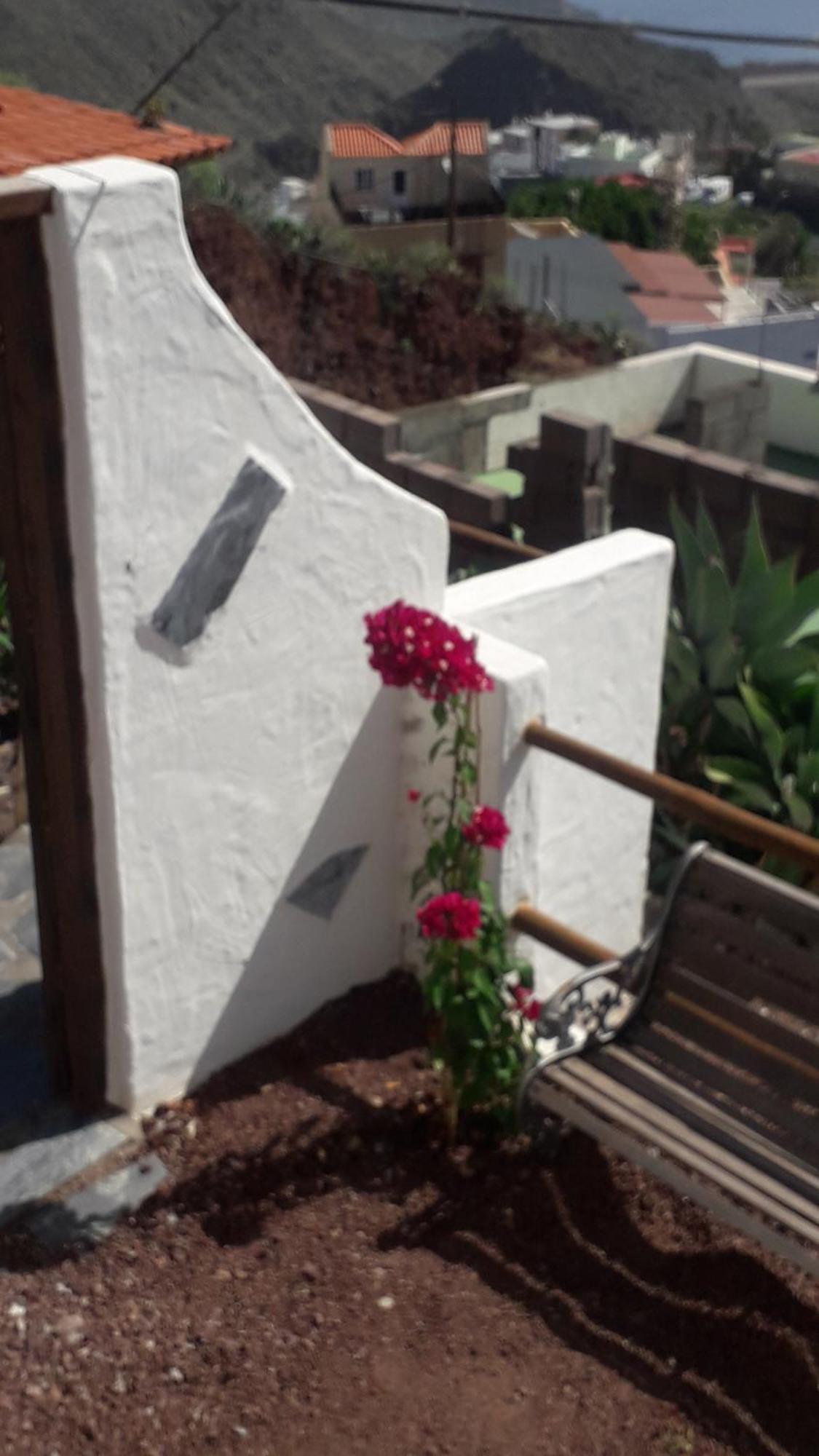 Nueva Casa Rural Piscina Privada 圣克鲁斯-德特内里费 外观 照片